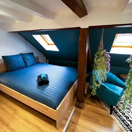 Au Duplex De Jeannala Apartman Sélestat Kültér fotó